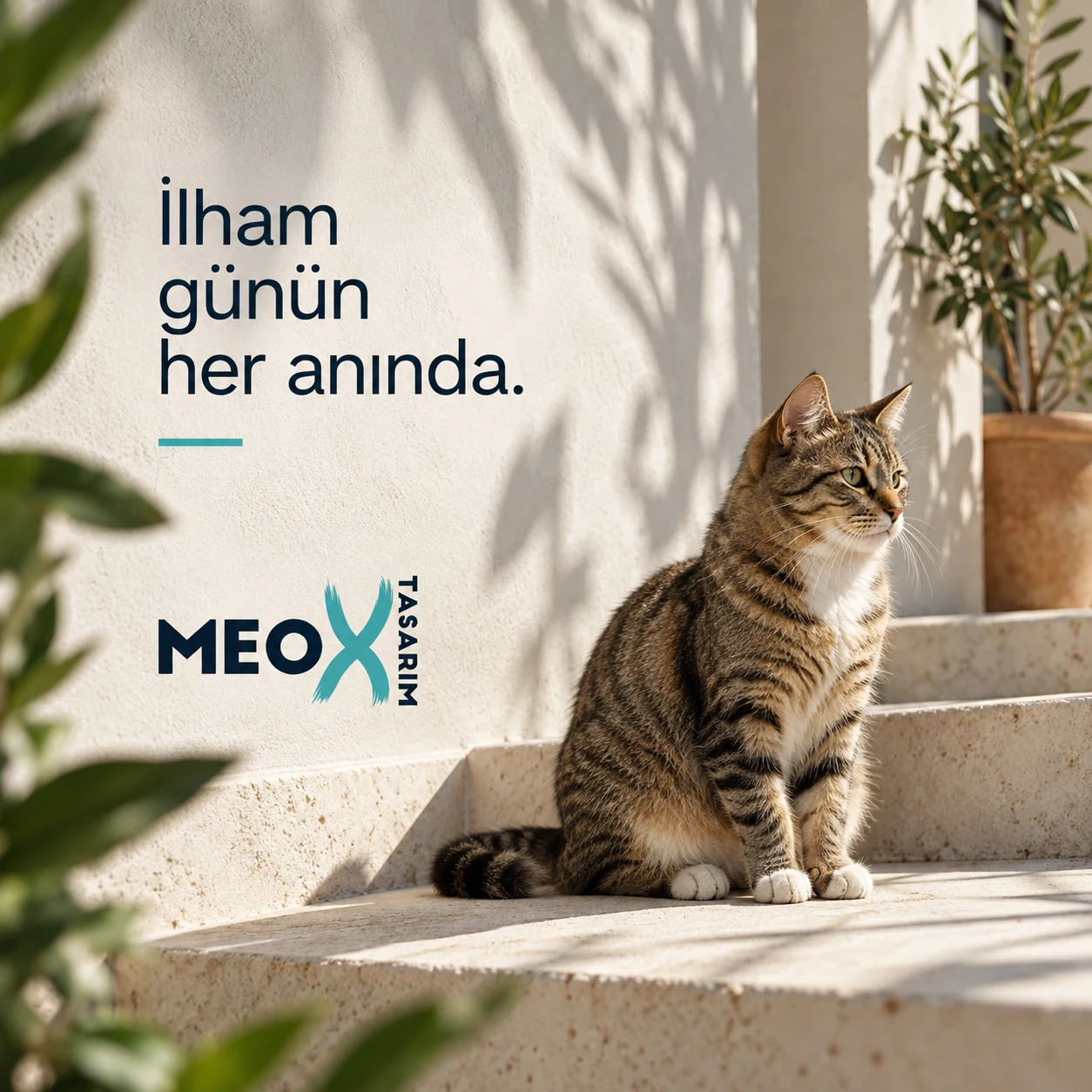 Sosyal Medya Tasarımı tasarım detayları