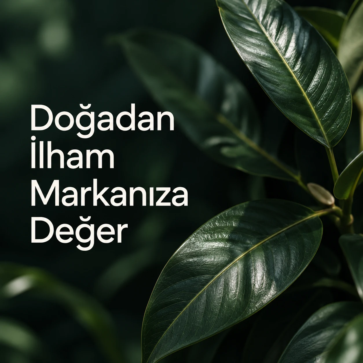 Sosyal Medya Tasarımı tasarım detayları