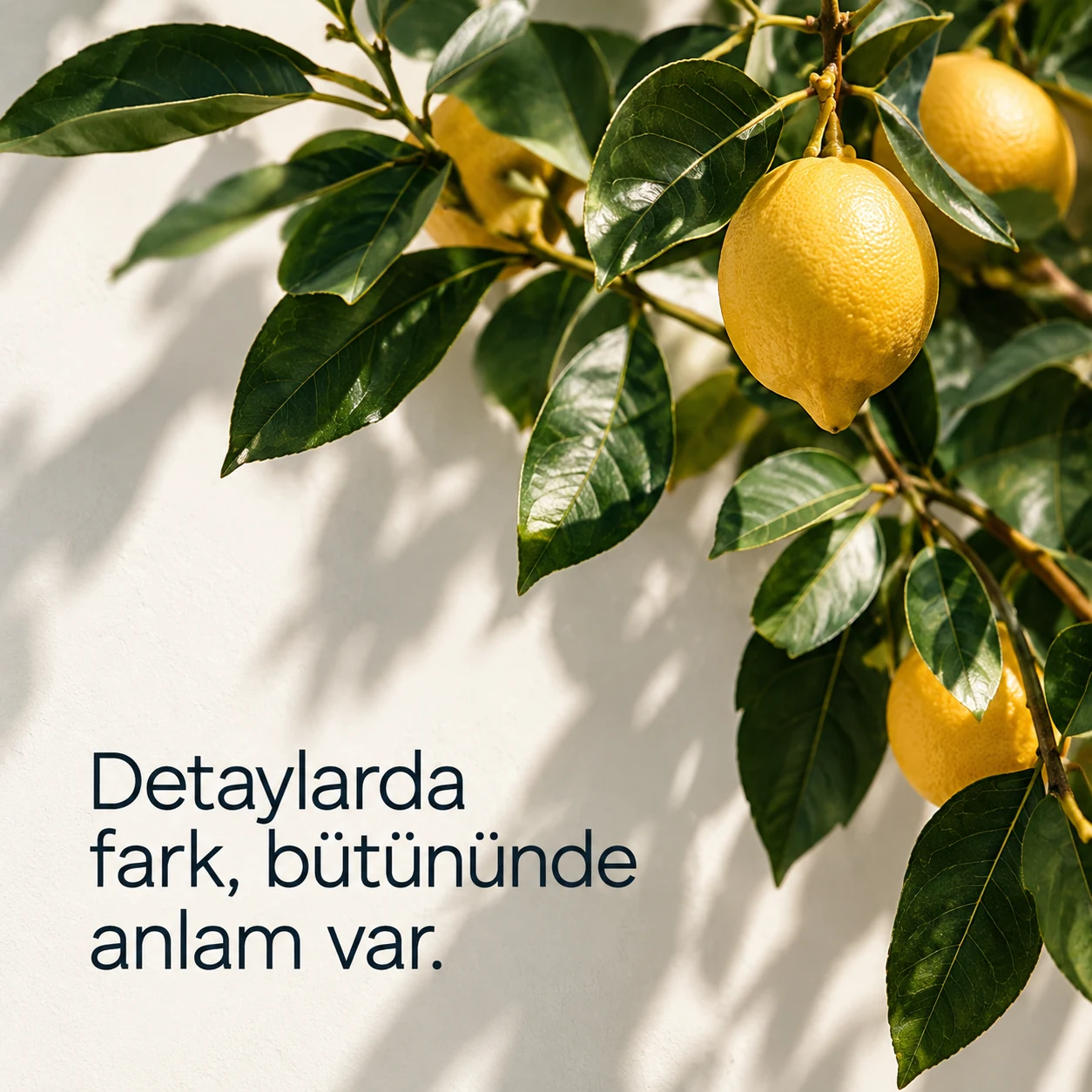 Sosyal Medya Tasarımı tasarım detayları
